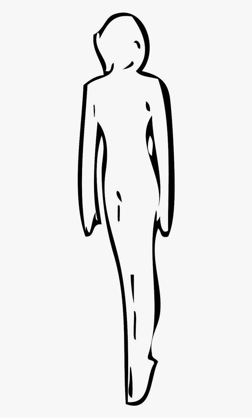 Vector Graphics,free Pictures - Clip Art, transparent png #3208013