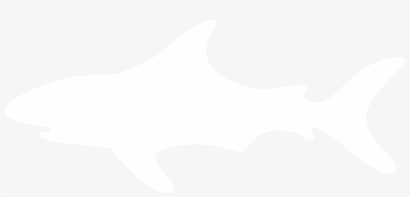 Shark - About - Dorsal Fin, transparent png #3208140