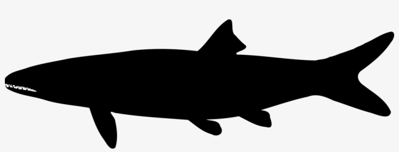 Shark Silhouette Drawing Computer Icons Black - Icon, transparent png #3208187