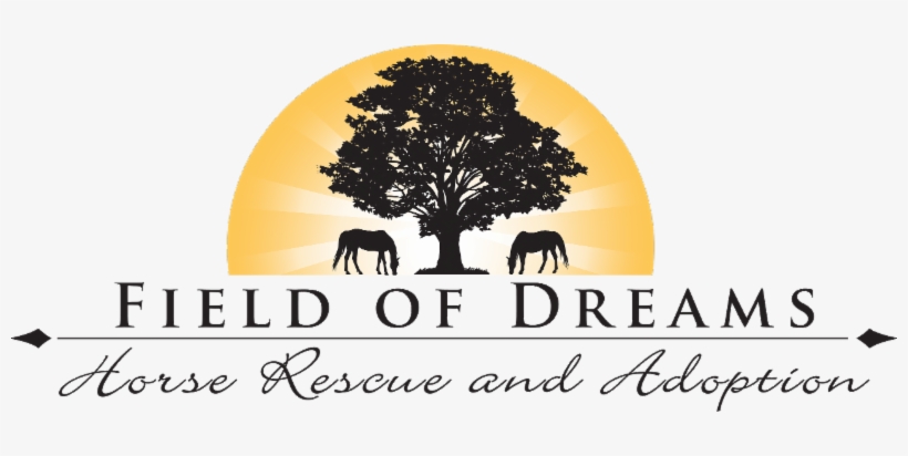 Barn Buzz Newsletter - Religion And Families: An Introduction (textbooks In, transparent png #3208228