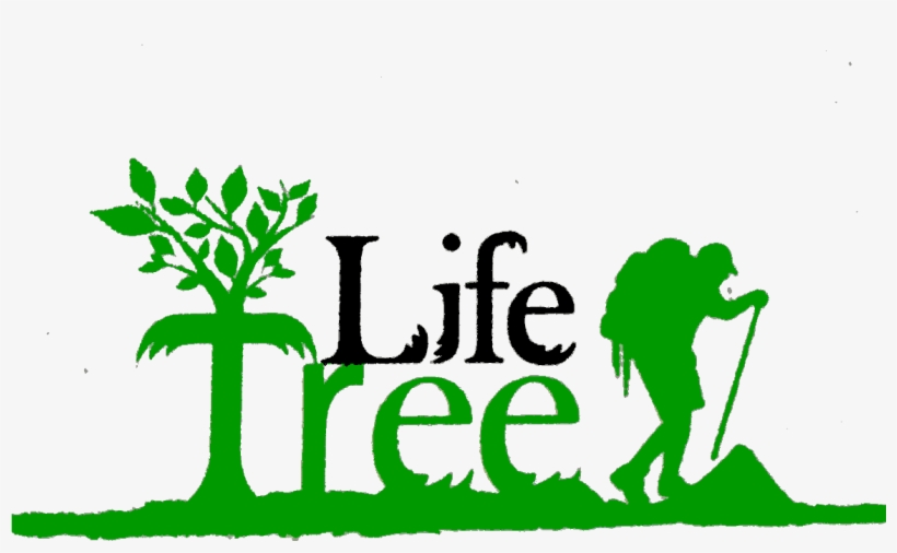 Tree Life, transparent png #3208401