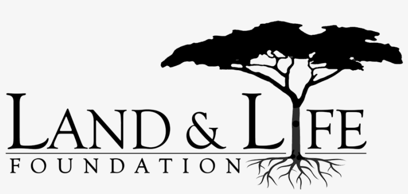 2017 Mara North Conservancy All Rights Reserved - Life Savors For Women [book], transparent png #3208469