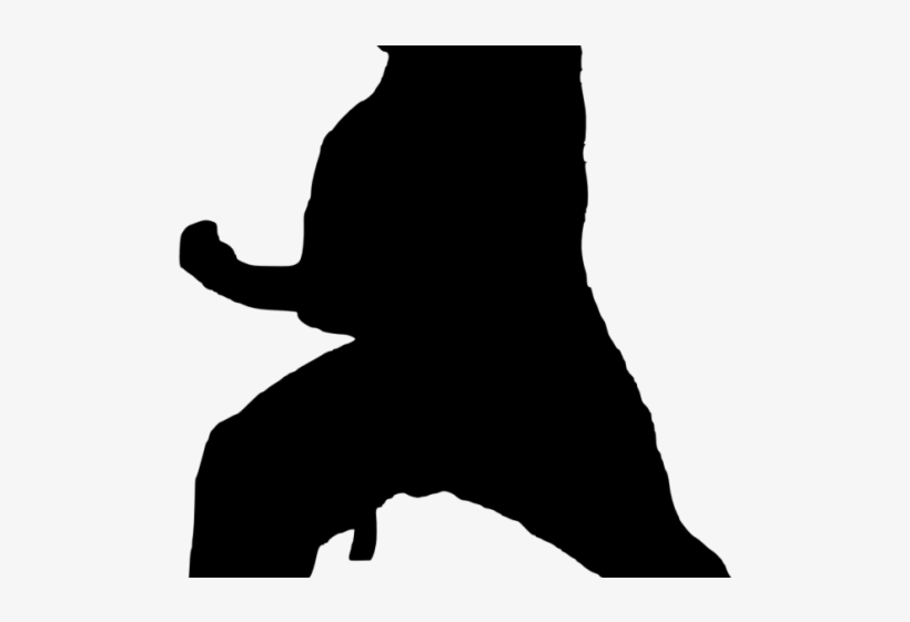 Karate Silhouette Cliparts - Superior National School Of Dramatic Art, transparent png #3209298