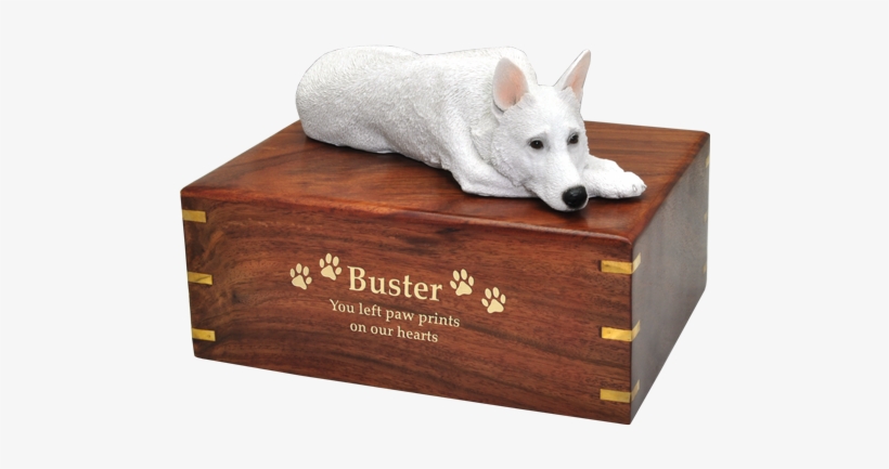 Wholesale White German Shepherd- Laying Wood Urn With - White German Shepherd Urns, transparent png #3209483