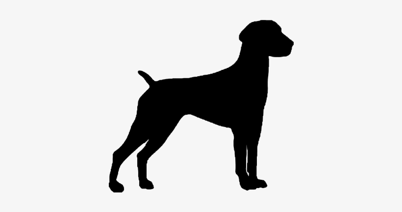 German Shorthaired Pointer Silhouette Decal - German Shorthaired Pointer Silhouette, transparent png #3209742