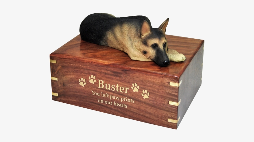 Wholesale German Shepherd Dog Urn Engraved With Gold - Urn For German Shepherd, transparent png #3209751