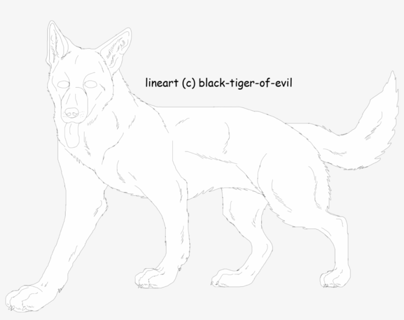 German Shepherd Lineart By Black Tiger Of Evil - Line Art, transparent png #3209916