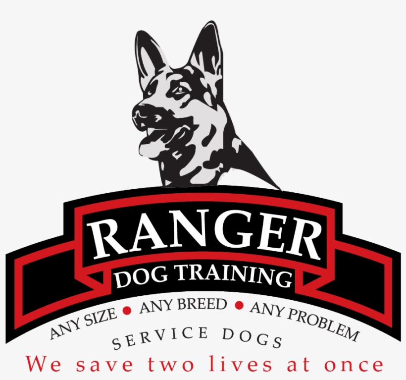 Image - Army Ranger 3rd Battalion Logo, transparent png #3209938