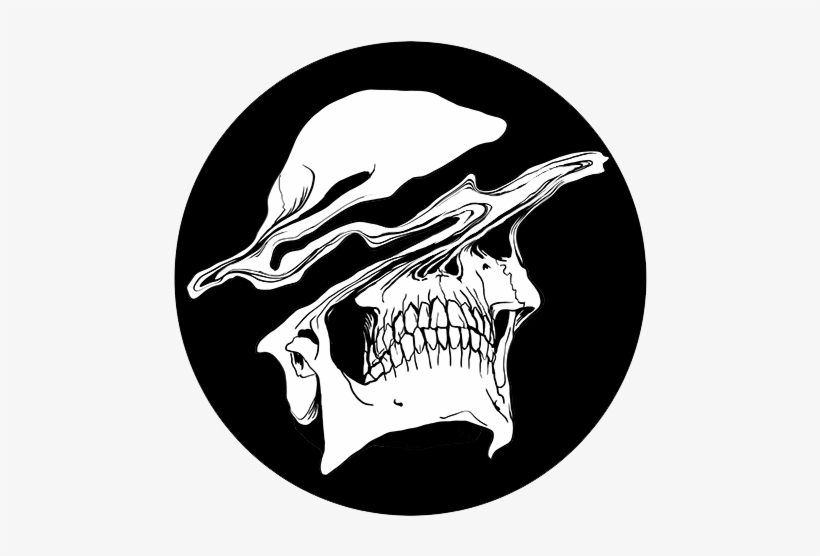 Megan Frauenhoffer - Skull, transparent png #3209984