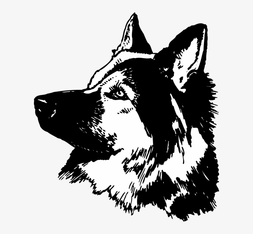 German Shepherd Sticker Graphic Decal, transparent png #3209985