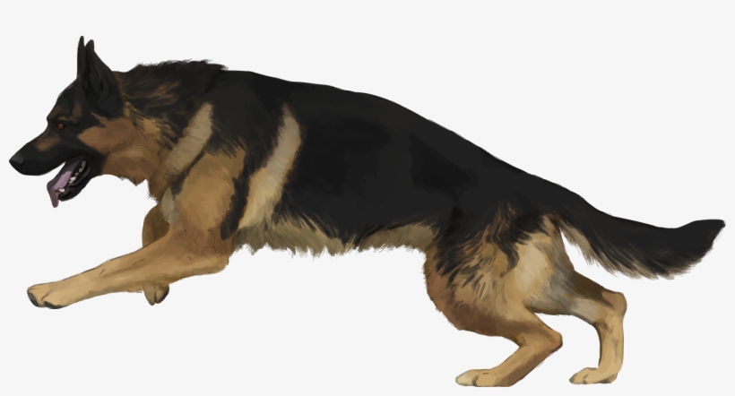 Saddle Tan - Examples Of Back Breeding, transparent png #3209986