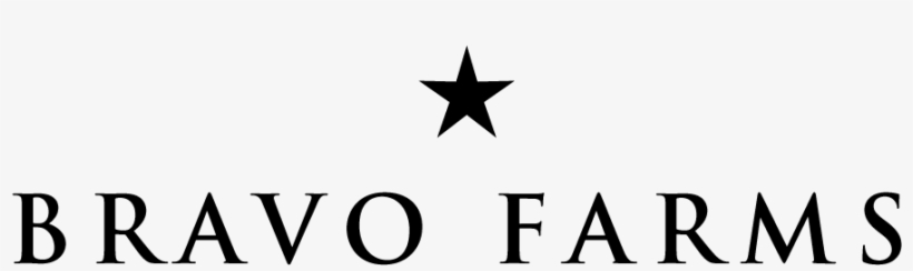 Bf Star Logo - Star, transparent png #3213475