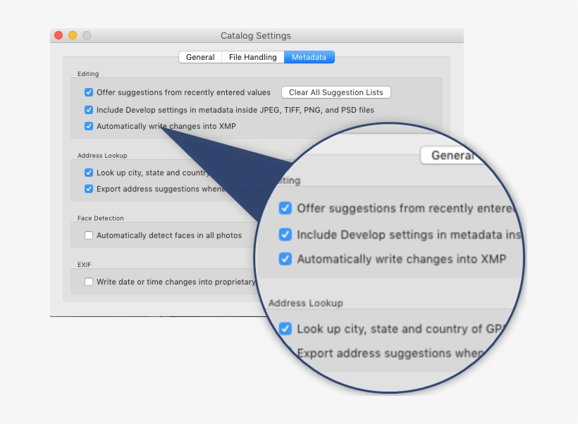 Lightroom Xmp Changes - Lightroom Xmp Files, transparent png #3214602