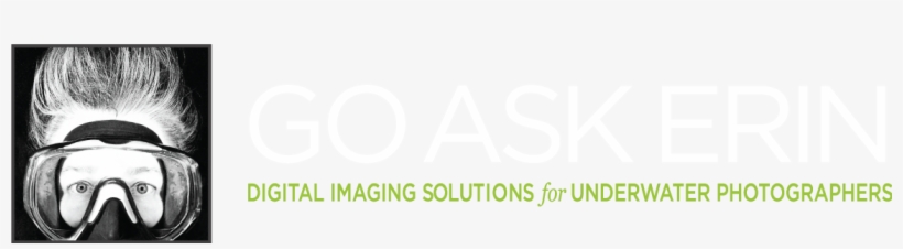 Logo, transparent png #3214765