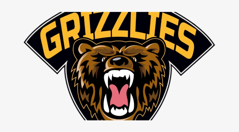 Bruins Purchase Na3hl Franchise In Rochester - Rochester Grizzlies, transparent png #3218689