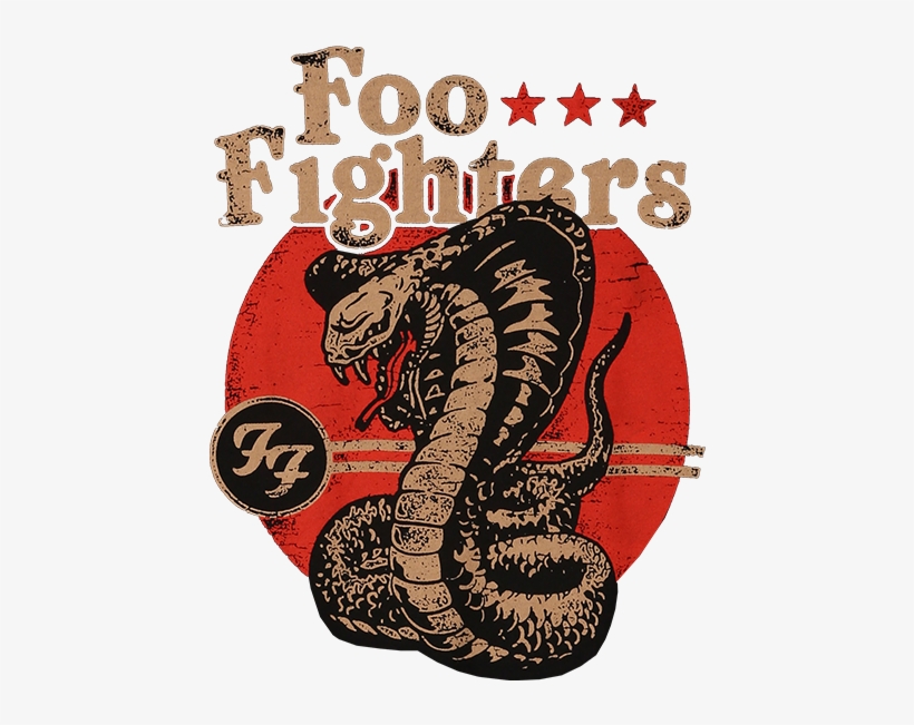 T-shirt-foo Fighters-snake T-shirt Rfe Mc010, transparent png #3218731