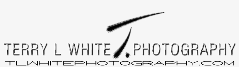 White Photography - Photography, transparent png #3218953