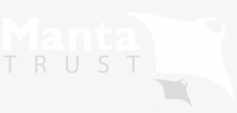 Mantalogo White 3500px - Environmental Management, transparent png #3220002