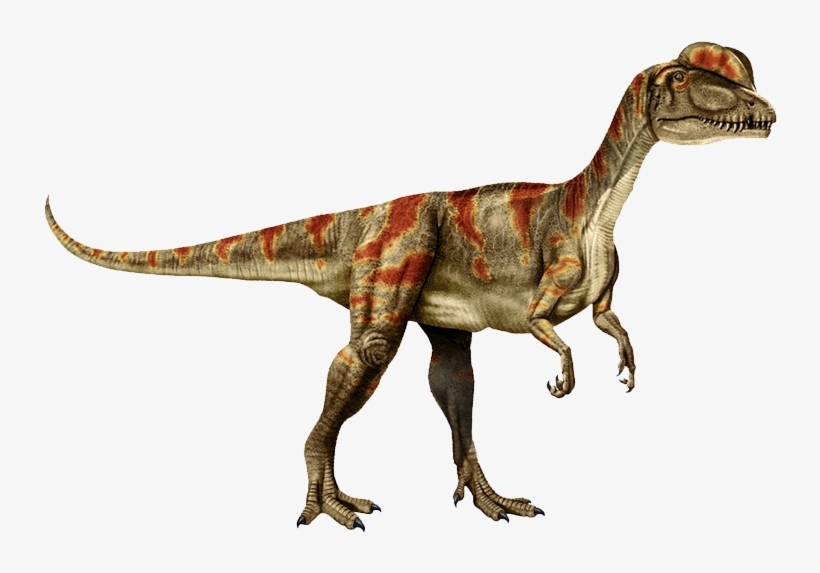Dilophosaurus Was The Very First Large Carnivorous - Ultimate Guide Dinosaur [book], transparent png #3221272