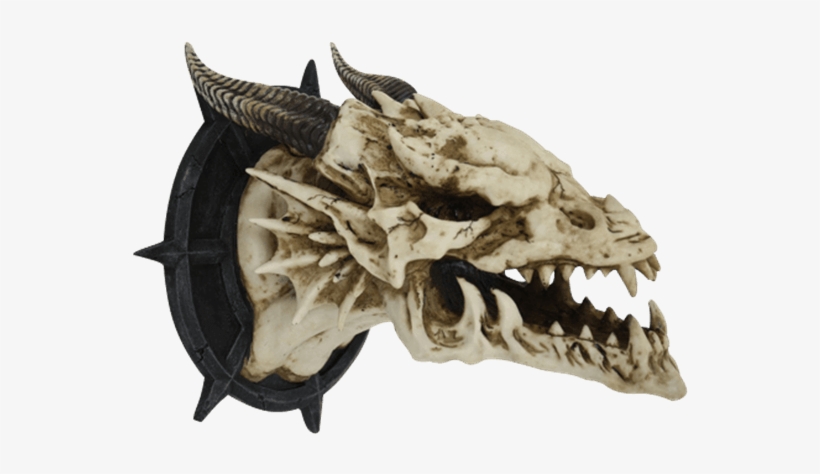 Horned Dragon Skull Wall Plaque - Dragon Skull Wall, transparent png #3221494