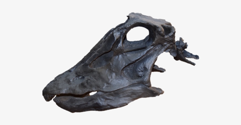 Dinosaur Body Bits Tuesday 10th April - Statue, transparent png #3221578