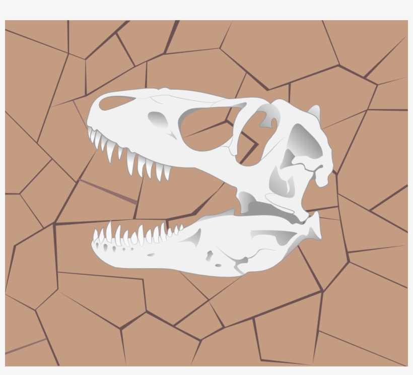 This One Is Less A Show Of My Drawing Skills And More - Dinosaur Skulls, transparent png #3221611