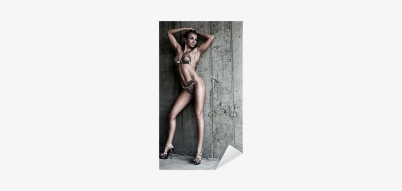Photo Shoot, transparent png #3221616
