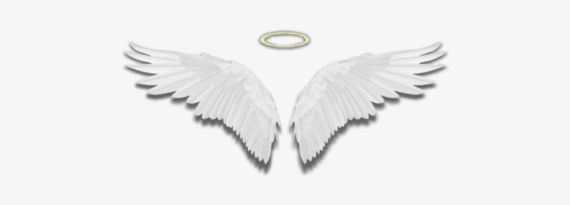Wings Angelwings Halo White Feathers - White Feather, transparent png #3222042