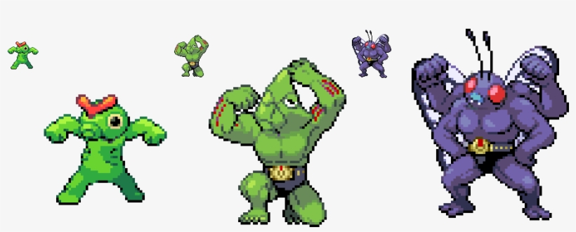 Putting Any Head On Machoke Or Machamps Body Will Produce - Machop Machoke Machamp, transparent png #3222304