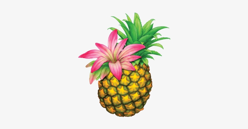 Organically Grown Botanicals In Our Ferment Add Delicate - Pineapple, transparent png #3223654