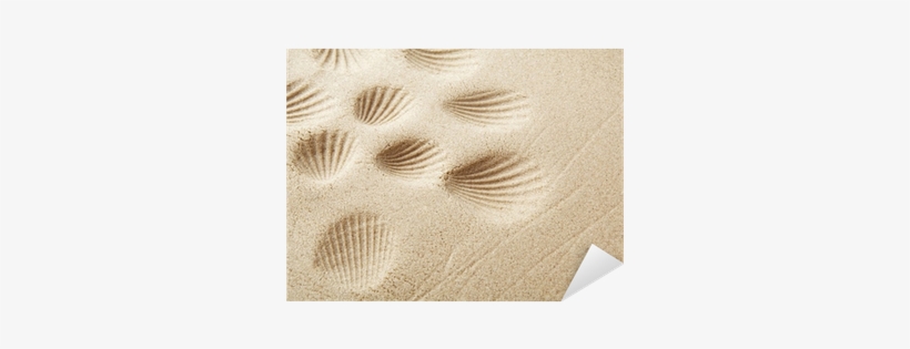 Sandy Beach Background For Summer - Sand, transparent png #3224141