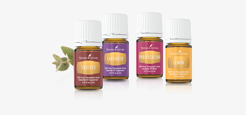 Young Living Essential Oils - Young Living Essential Oils Png, transparent png #3225148