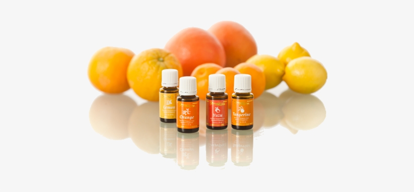 Therapeutic Grade Essential Oils - Essential Oils In Ningxia Red, transparent png #3225268