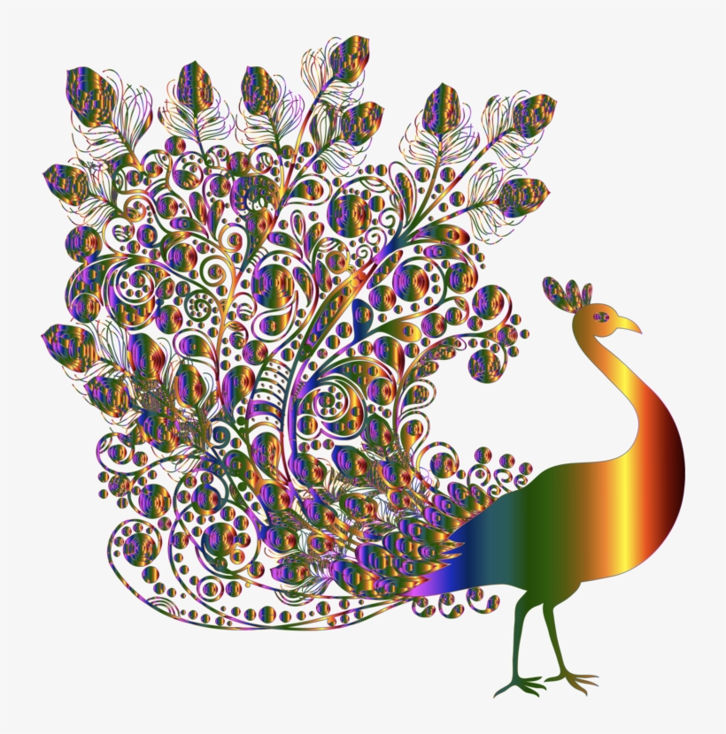 Bird Indian Peafowl - Beautiful Peacock, transparent png #3225535
