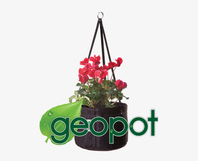 Geopot Hg-2gal 8" Hanging Basket, Brown, transparent png #3225757