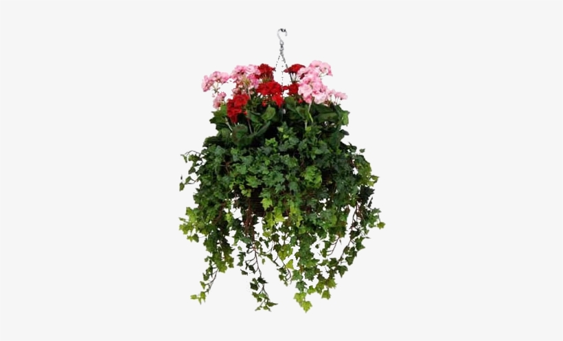 Hanging Baskets, Container Gardening, Artificial Flowers, - Flower Hanging Baskets Png, transparent png #3225802