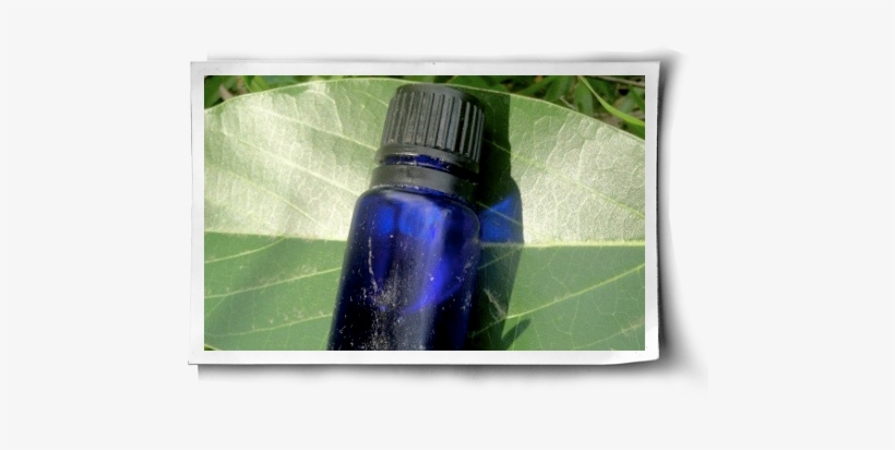 3 Essential Oils For Your Herbal Medicine Cabinet Post - Bathroom Cabinet, transparent png #3225829
