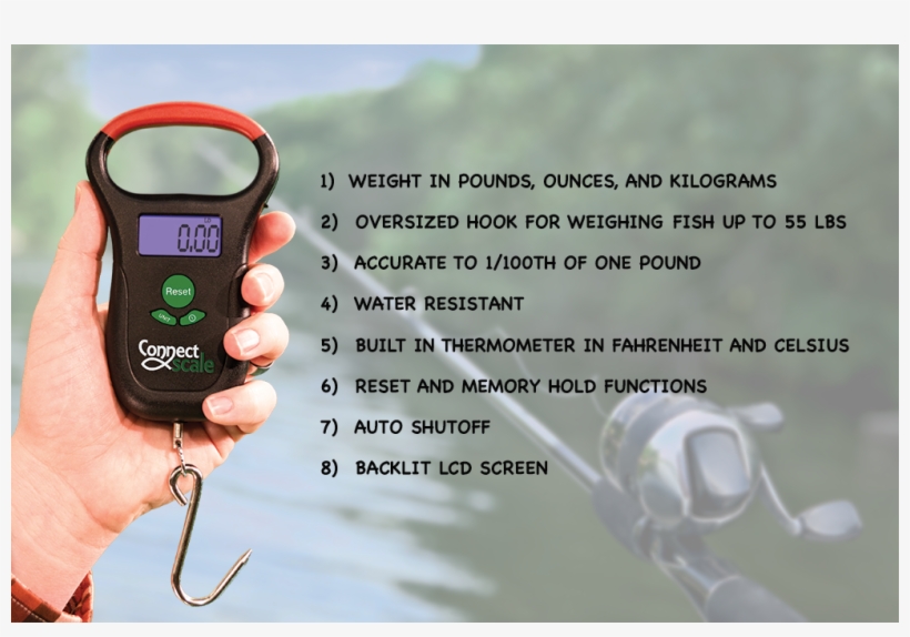 Key Features - Fishing, transparent png #3226601