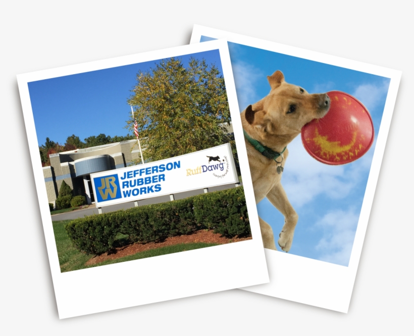 About Ruffdawg - Dog, transparent png #3227715