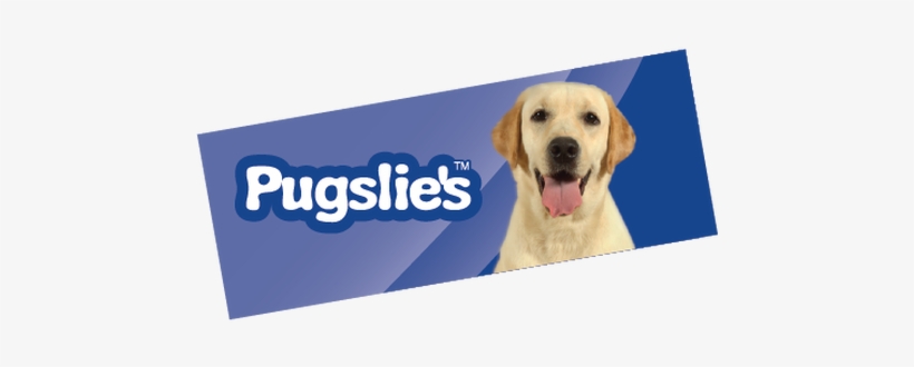 Bright, Affordable, Mixed Media Dog Toys We Are Continuously - Labrador Retriever, transparent png #3227822