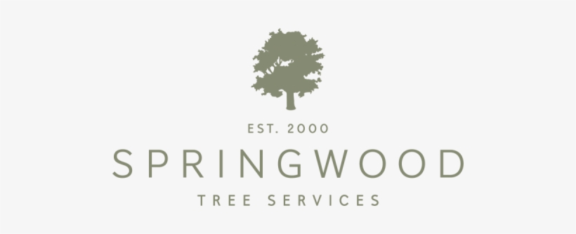 Cropped Springwood Tree Main Green E1541278552594 - Tree, transparent png #3227926