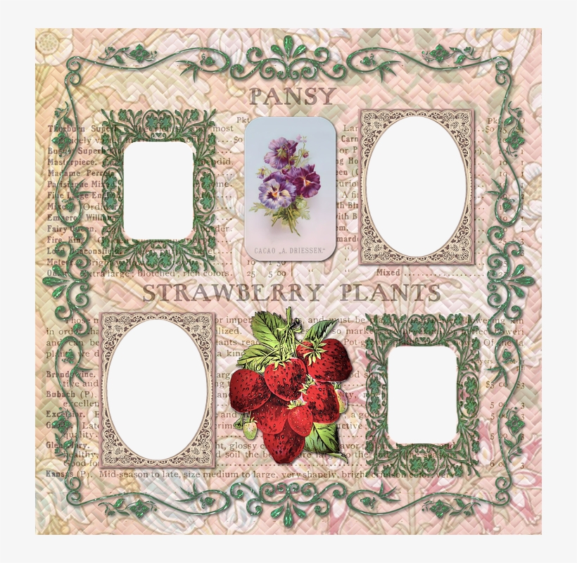 Scrapbook Scrap Elements Embellishment - Scrapbooking, transparent png #3229117