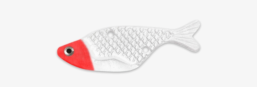 Pomacentridae, transparent png #3229120