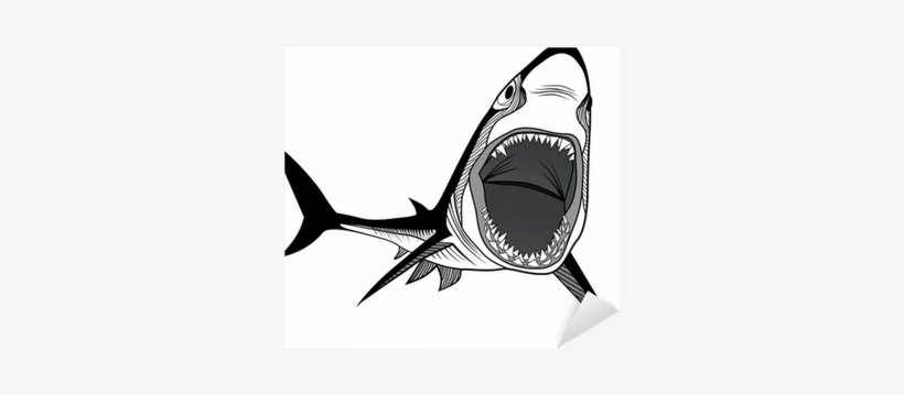 Shark, transparent png #3229125