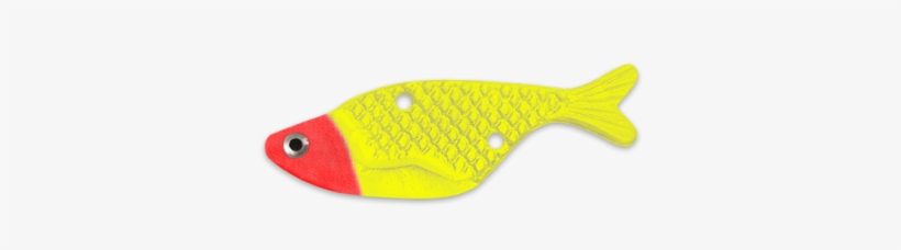 Pomacentridae, transparent png #3229240