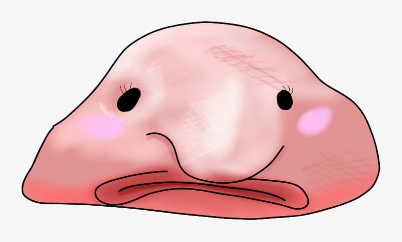 View Topic - Kawaii Fish, transparent png #3229614