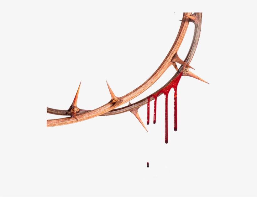 Thorns Vines Roses Flowers Flores Blood Dripping Meltin - Blood, transparent png #3229822