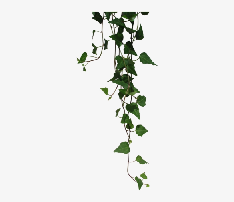 5 / - Clothing, transparent png #3230338