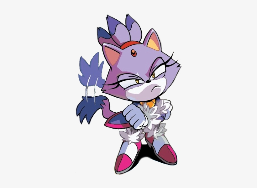Sonic The Hedgehog Sonic Blaze Blaze The Cat Tangle - Blaze The Cat ...