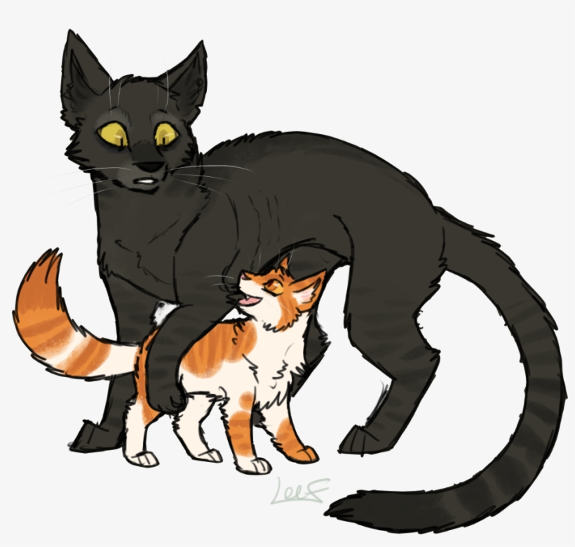 Spire & Blaze A - Spire Warrior Cats, transparent png #3231278